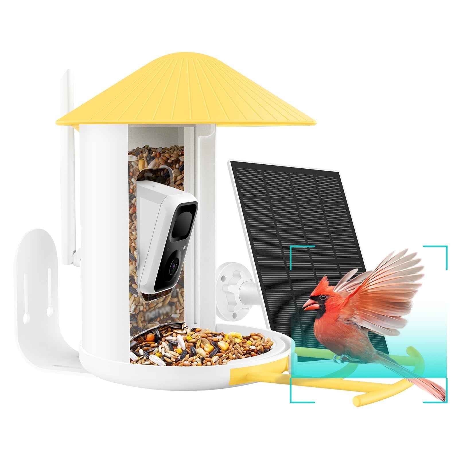 How to Turn on Netvue Bird Feeder Camera: Easy Step-by-Step Guide