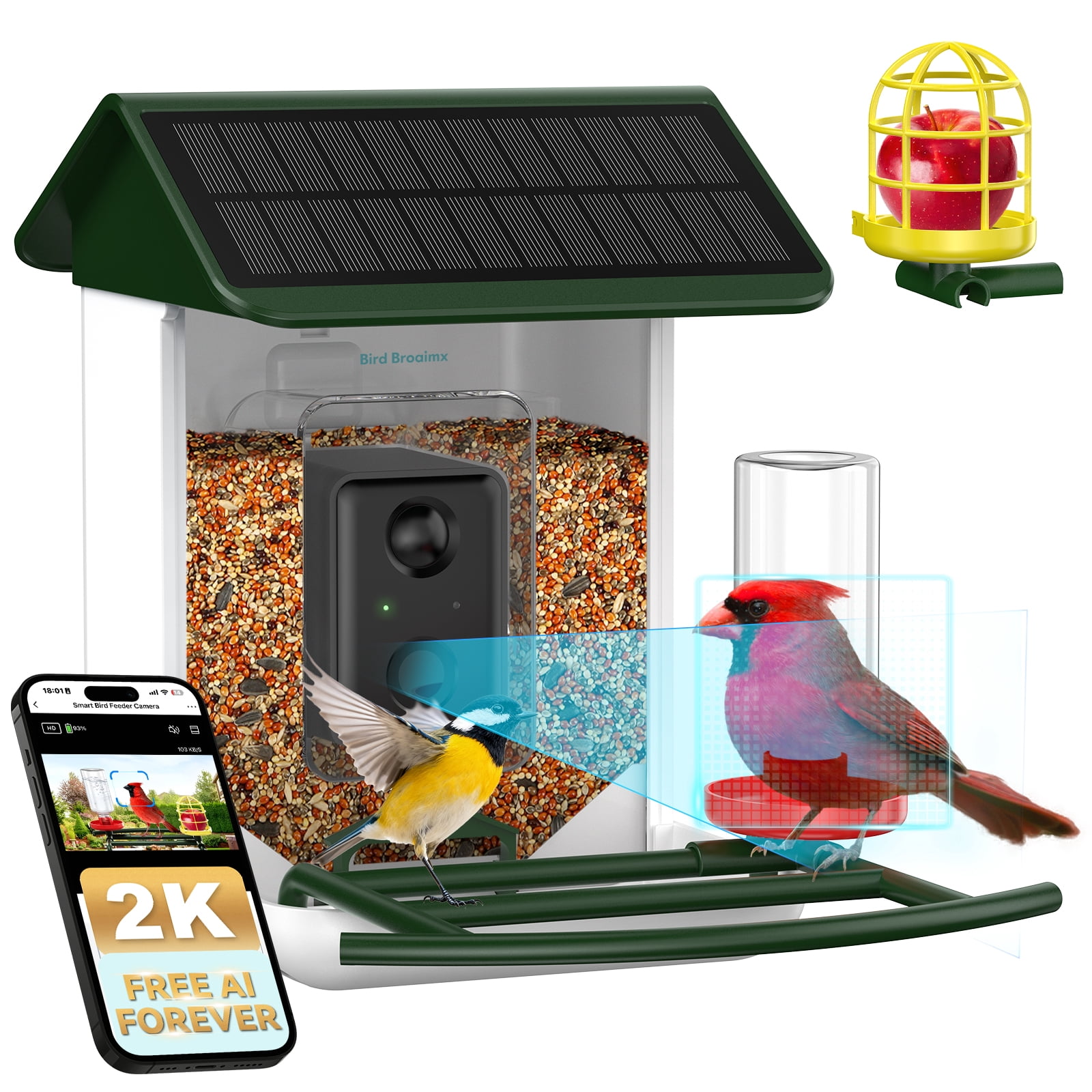 Bird Feeder with Camera No Subscription-Free AI Forever for 1,1000+ Birds Identification, 2K HD & 5MP Night Vision, Record Video Live View, 64GB Card, App Alerts, Gifts for Bird Lovers (Green)