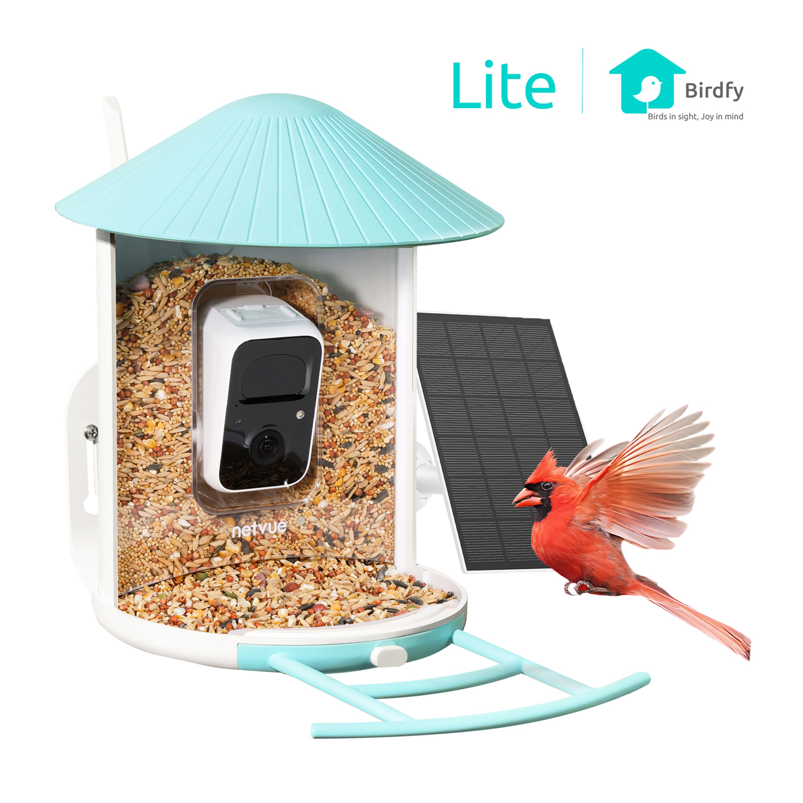 Bird Feeder with Camera, Netvue Birdfy Smart Bird Feeder with AI
