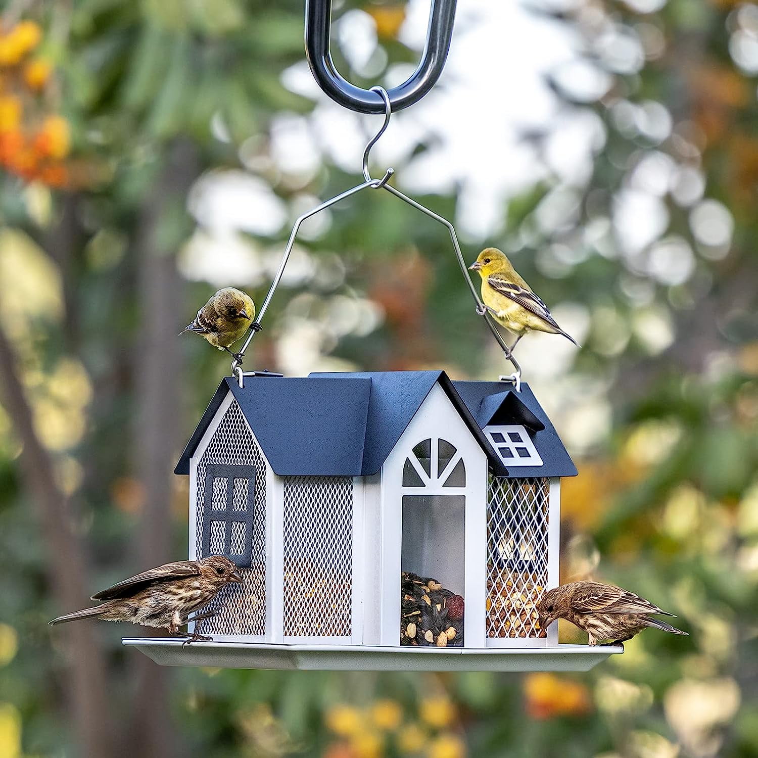 Bird Feeder House for Outside +  Glass Hummingbird Feeder for Outdoors