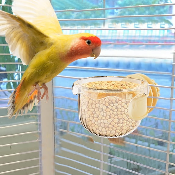 Bird Feeder, Indoor Cage Mounted Food Dispenser, Automatic Feeding ...