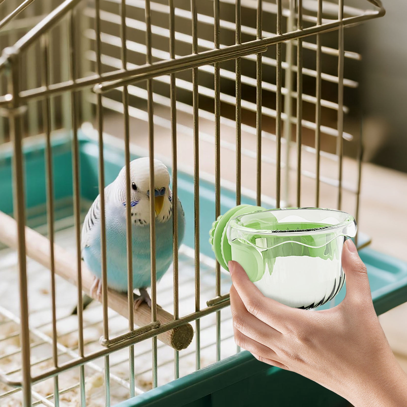 Simple Food Advertisement Bird Feeder, Indoor Cage Mounted Food Dispenser, Automatic Feeding ...