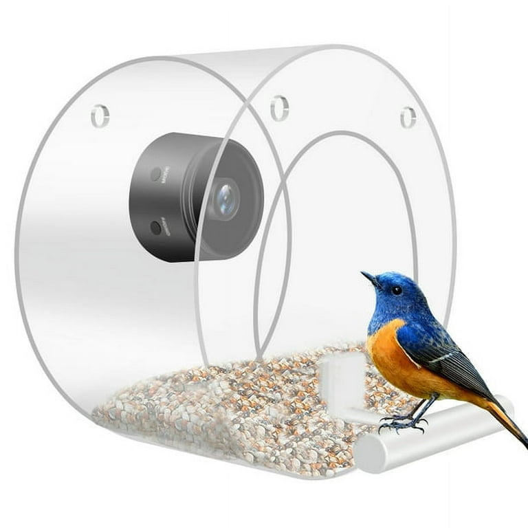 13 Best Bird Feeder Cameras of 2024 for High-Tech Birdwatching