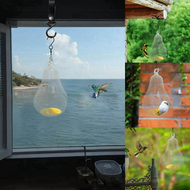 Bird Feeder With Camera 1080P Night Version Video Camera WiFi Hotspot