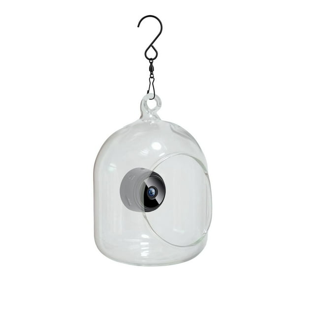 Bird Feeder With Camera 1080P Night Version Video Camera WiFi Hotspot