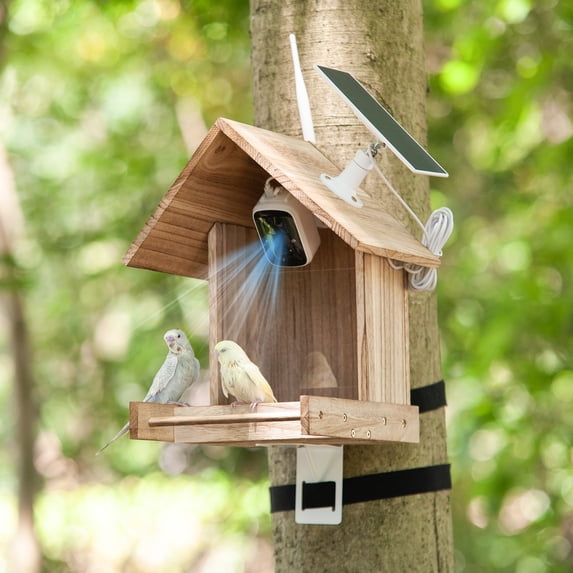 Seizeen Solar Bird Feeder with 1080P HD Camera, 5200mAh Battery, 11000 ...