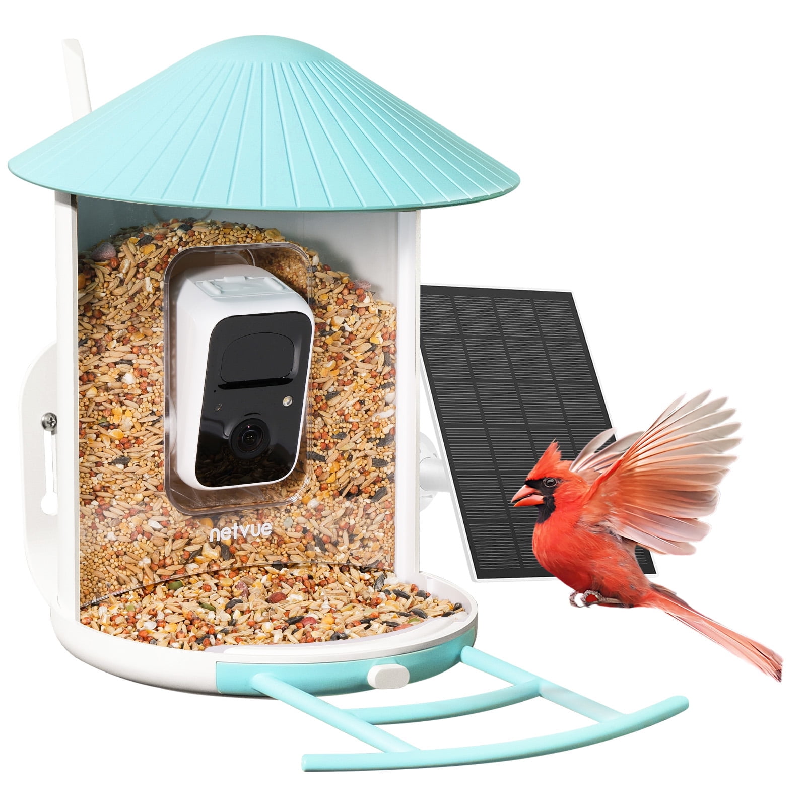 Bird Feeder with Camera, NETVUE Birdfy Smart Bird Watching Cameras