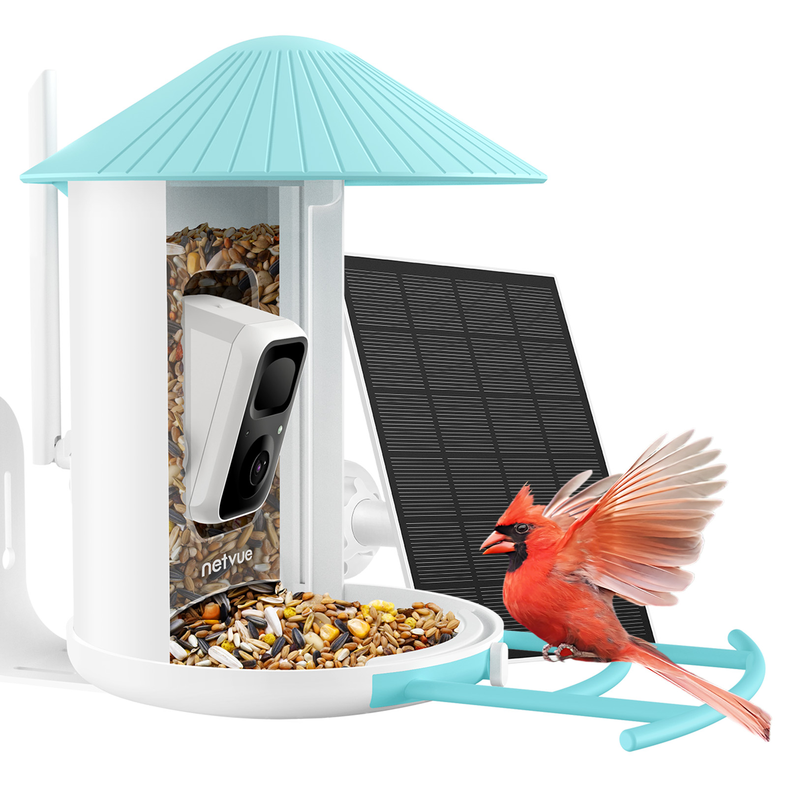 Bird Feeder with Camera, Netvue Birdfy Outdoor Bird Watching Camera