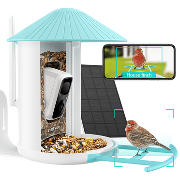 Bird Feeder with Camera, Netvue Birdfy Smart Bird Feeder with Free AI for Bird Watching, Blue