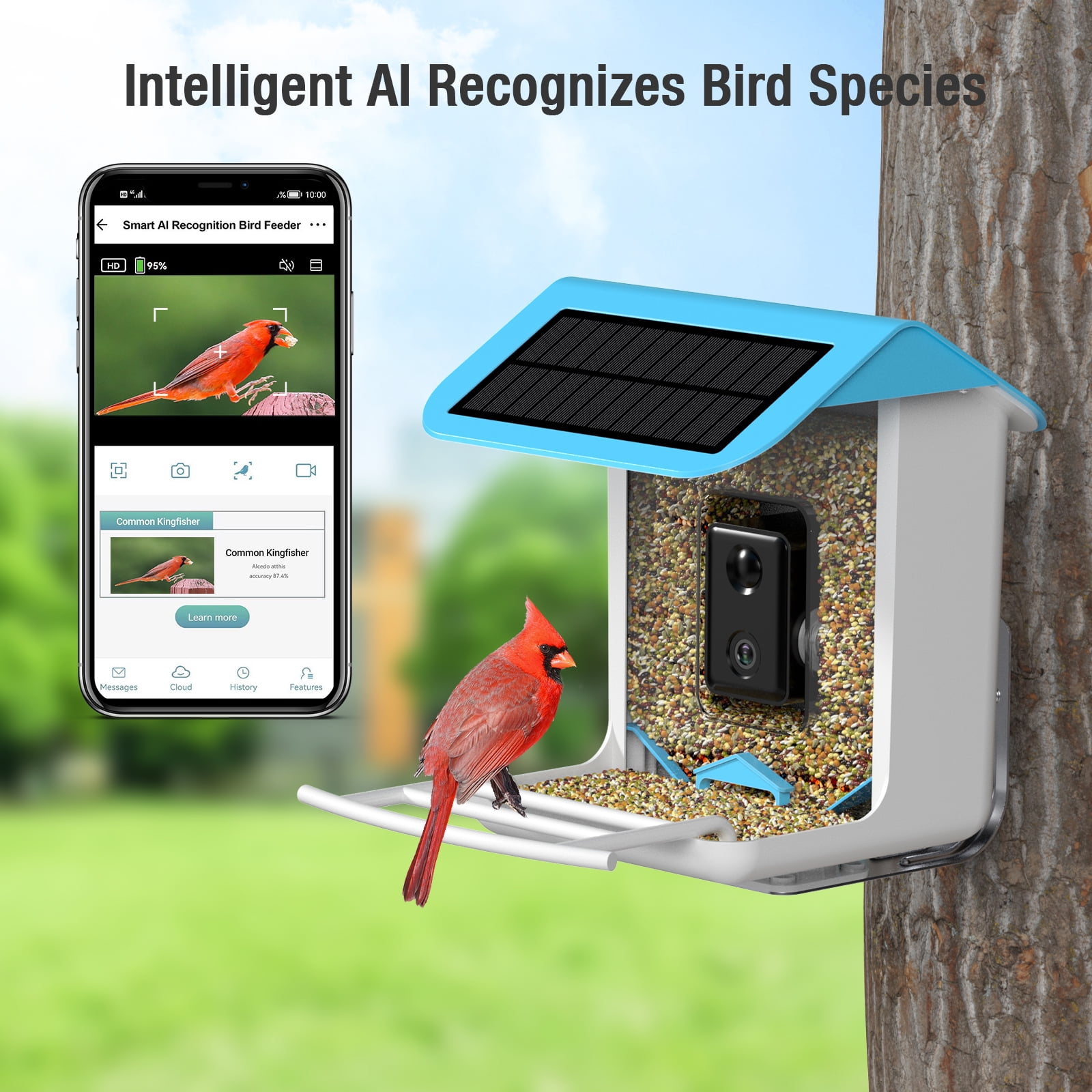 Bird Feeder with Camera Solar Panel AI Smart Bird Feeder with ...