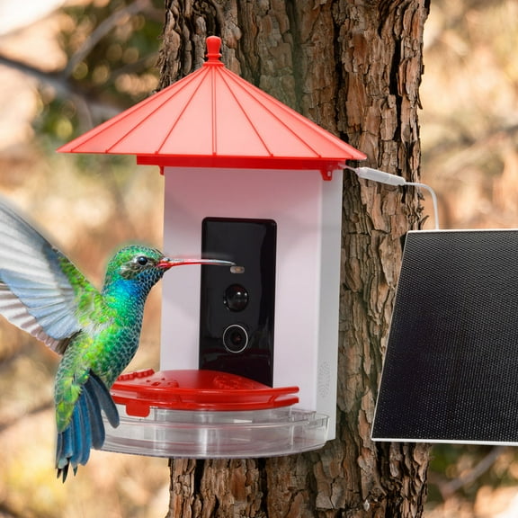 Bird Feeder with Camera Solar Powered AI Tech for Breed Recognition Detection for Live Photo & Video