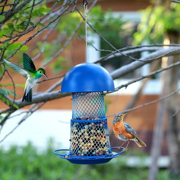 Bird Feeders for Outdoors Hanging, Durable Large Capacity Metal Birds Feeder, Sturdy & Weatherproof, Easy to Clean & Refill, Great for Attracting Cardinal, Blue Jay (1PC, Blue)