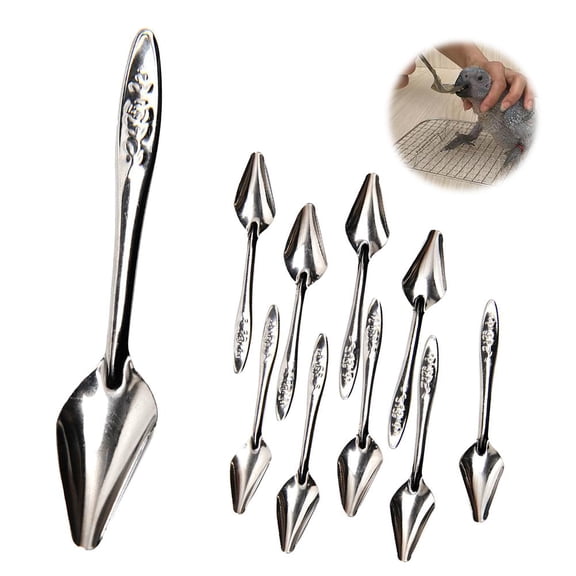 Bird Feeding Spoon, Effortless Hand-Feeding for Baby Birds, Stainless Steel, Multiple Sizes Available