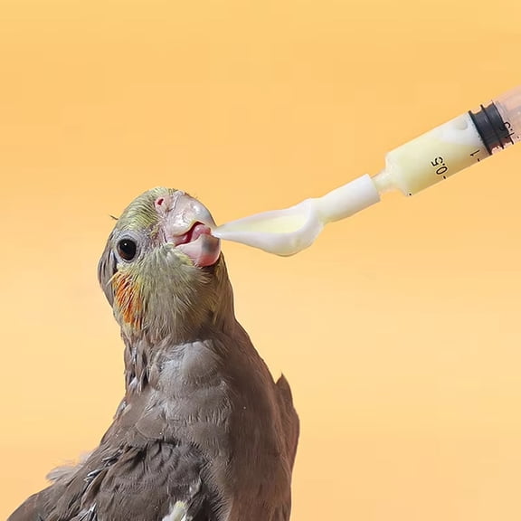 Bird Feeding Syringe and Bird Feeder with Professional Hand‑Rearing Nursing Tool for Baby Parrots and Chicks Feeding and for Bird Feeder,White