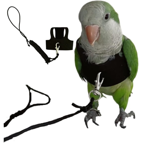 Bird Flight Harness Vest, Parrot Flight Suit with Leash for Parakeets Cockatiels Conures Budgies, Bird Flying Clothes with Rope and Handle for Outdoor Activities Training, Anti Bite (Medium)