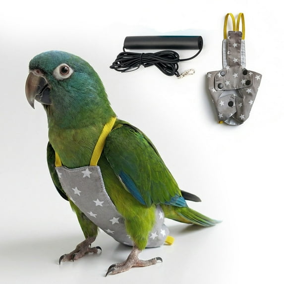 Bird Flight Leash And Harness For Parrots Small Birds Outdoor Training Aviary Gear Pet Clothes Birthday Gift For Pet Dog Cat S