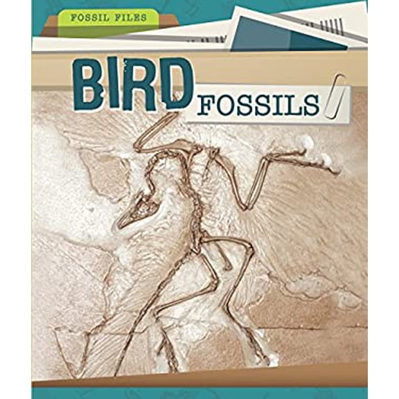 Pre-Owned Bird Fossils (Hardcover) 9781499428612