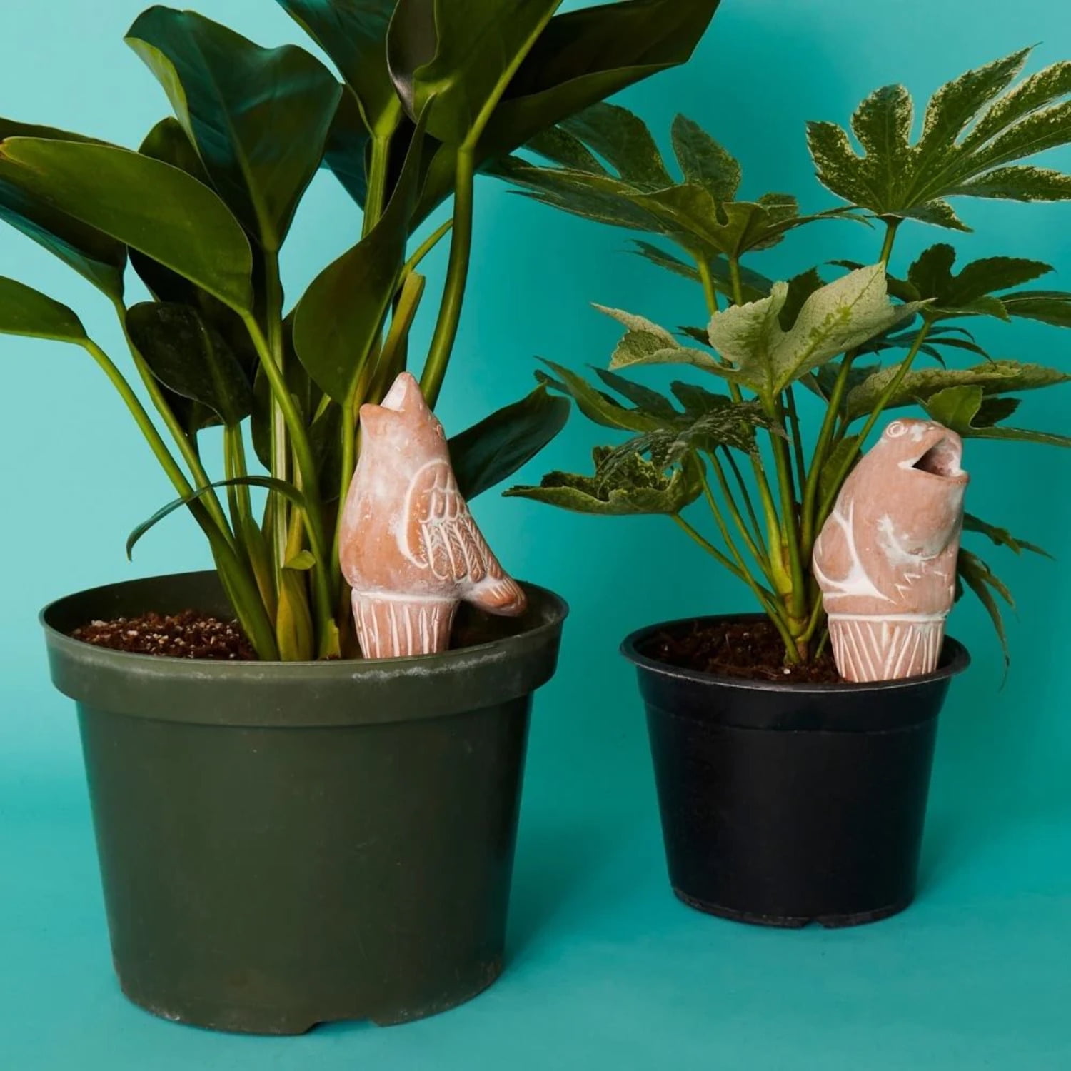 Bird Frog Terracotta Watering Stake Set