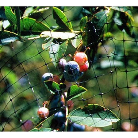 Bird Garden Netting 3/4" Mesh Lightweight Bird Control, 100' Roll 14 Feet Wide Blocks Pest Birds