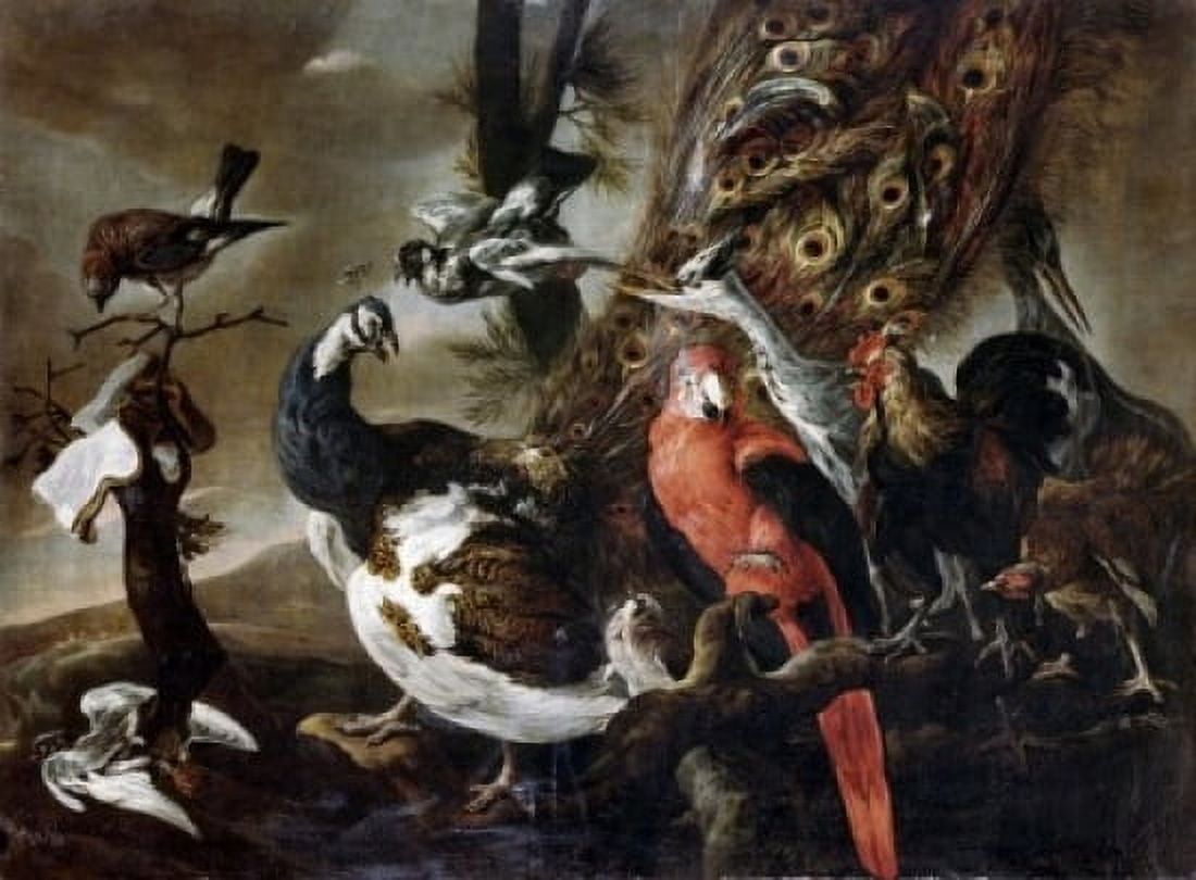 Bird Group with Peacock and Parrot Fyt Jan (1611-1661Flemish) Canvas Art - (24 x 36)