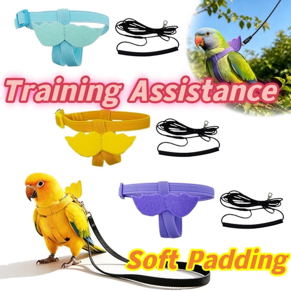 Bird Harness with 78.7" Leash, Outdoor Flying Training Rope Kit for Bird Parrots, Parrot Flying Rope Straps Outdoor Training Traction Rope for Small Medium Large Size Birds _ Blue