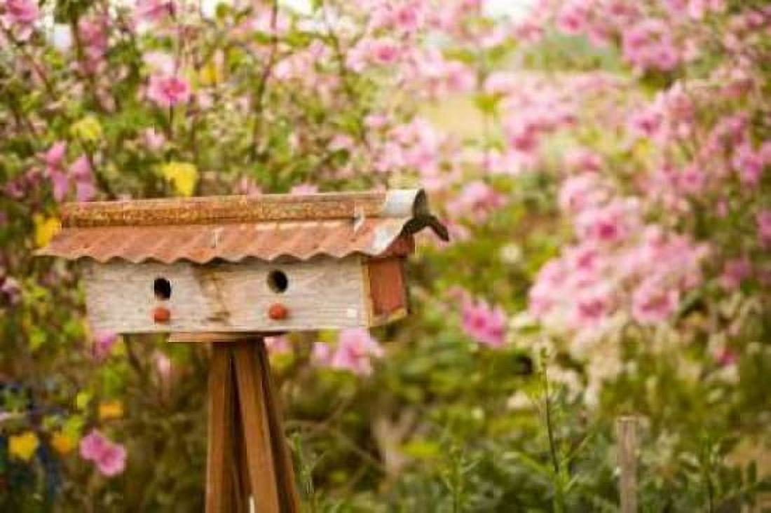 Bird House I Canvas Art - Philip Clayton-Thompson (12 x 18)