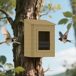 Does Walmart Sell Bird Houses? Top Picks & Expert Tips