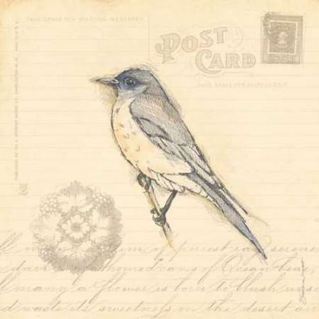 Bird I Canvas Art - Stephanie Marrott (24 x 24)
