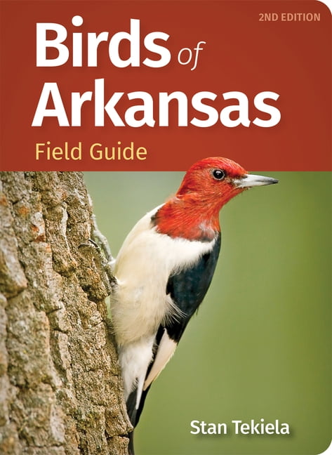 Bird Identification Guides Birds of Arkansas Field Guide, (Paperback)