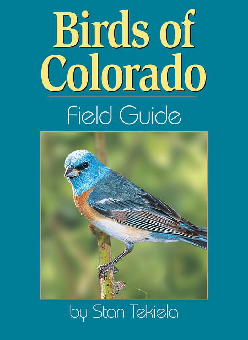 Bird Identification Guides: Birds of Colorado Field Guide (Paperback ...