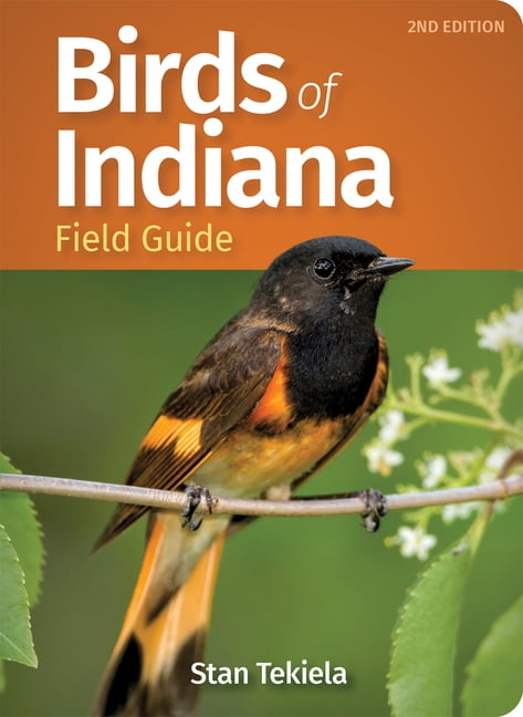 Bird Identification Guides: Birds of Indiana Field Guide (Paperback)