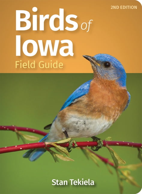 Bird Identification Guides: Birds of Iowa Field Guide (Paperback)