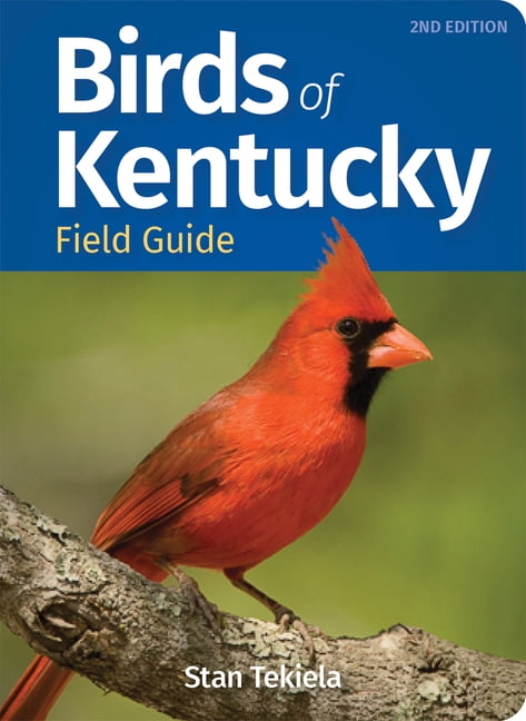 Bird Identification Guides: Birds of Kentucky Field Guide (Edition 2) (Paperback)