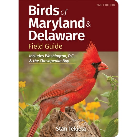 Bird Identification Guides Birds of Maryland & Delaware Field Guide: Includes Washington, D.C., & the Chesapeake Bay, (Paperback)