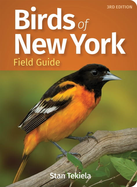 Bird Identification Guides: Birds of New York Field Guide, (Paperback), Stan Tekiela, English, 6.00" x 6.00" x 0.60"