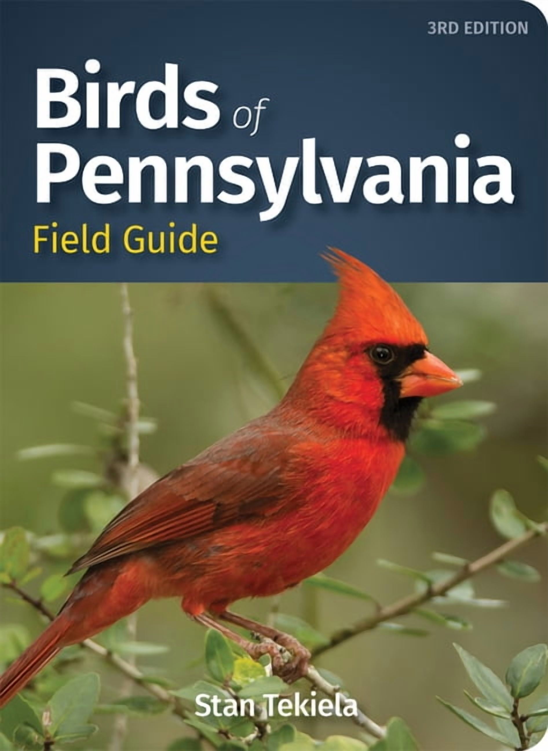 Bird Identification Guides Birds of Pennsylvania Field Guide, (Paperback)