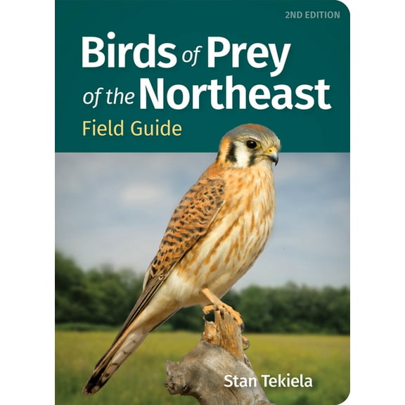 Bird Identification Guides Birds of Prey of the Northeast Field Guide, (Paperback)