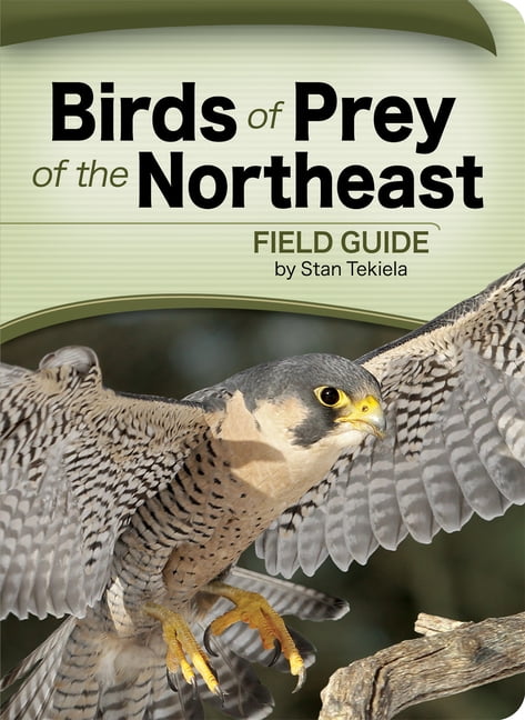 Birds of Prey of the Northeast Field Guide with Stunning Photos