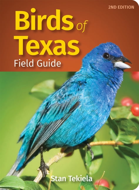 STAN TEKIELA Bird Identification Guides Birds of Texas Field Guide, (Paperback)