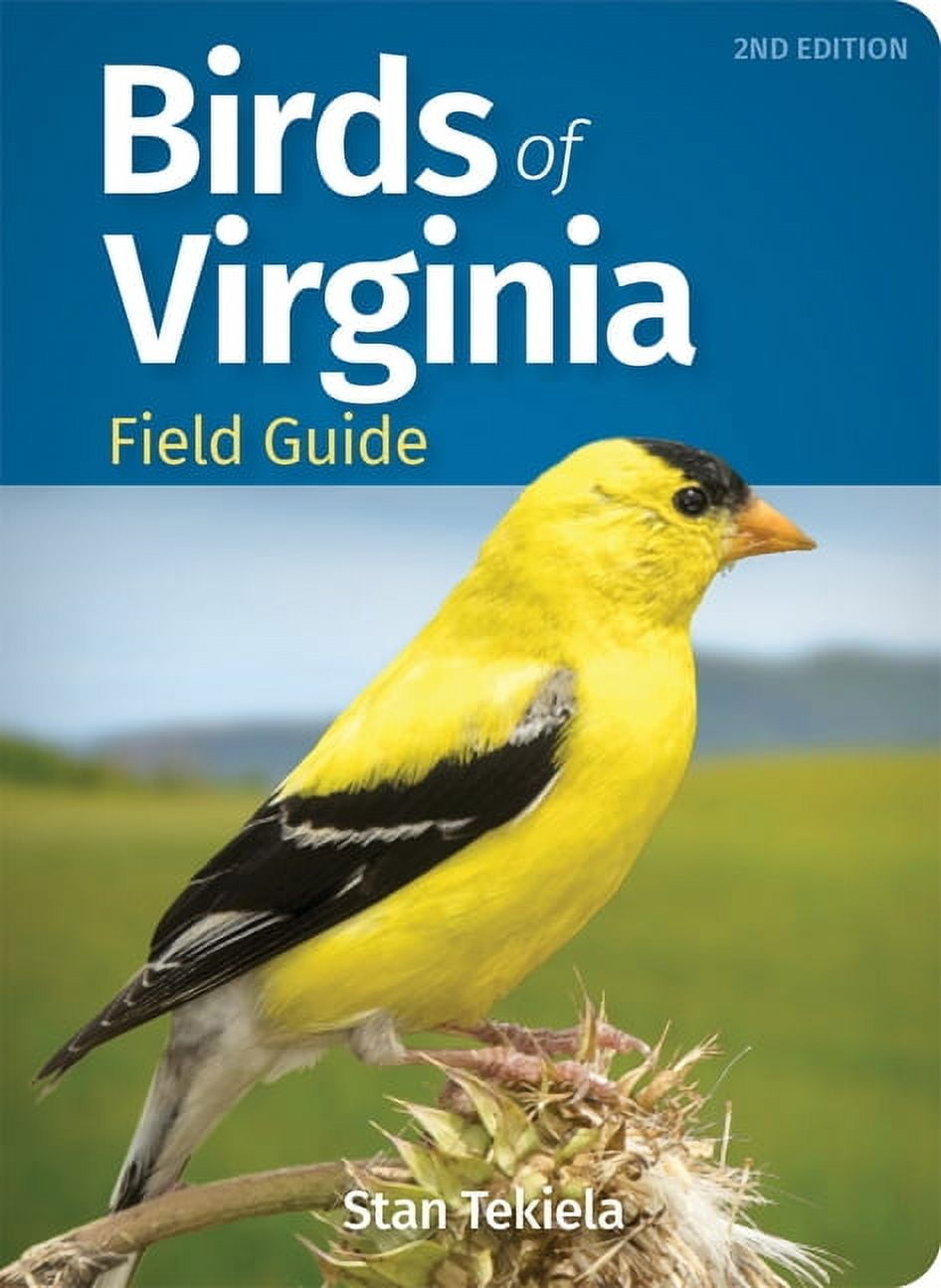 Bird Identification Guides Birds of Virginia Field Guide, (Paperback)