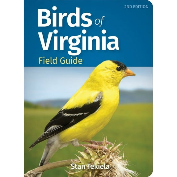 Bird Identification Guides Birds of Virginia Field Guide, (Paperback)