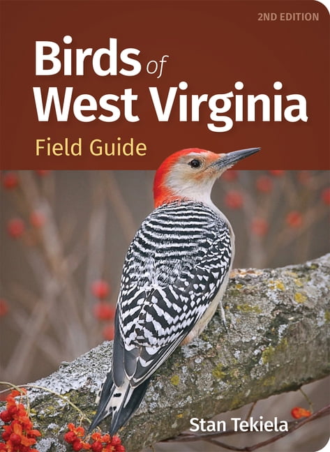 Bird Identification Guides Birds of West Virginia Field Guide, (Paperback)