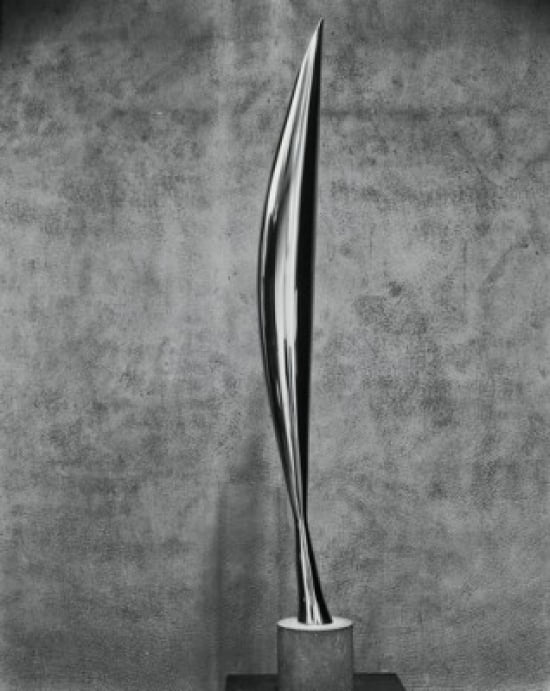 Bird In Space 1919 Constantin Brancusi (1876-1957Romanian) Bronze Museum of Modern Art New York City Canvas Art - Constantin Brancusi (24 x 36)