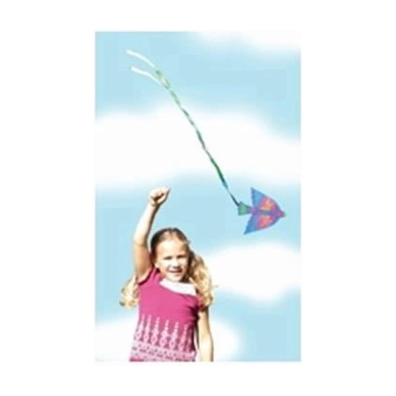 Bird Kite Kit - Multi-Color - 6 x 7 in - Pack of 32 - Creative Art Project