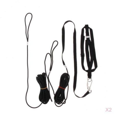 Bird Leash Flying Training Outdoor Harness Rope, Easy To Put On And