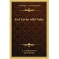 thumbnail image 1 of Bird Life In Wild Wales (Paperback), 1 of 1