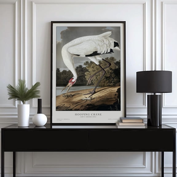 Bird Lover Gallery Home Accent Vintage Bird Traditional Wall Art Unframed Paper Print
