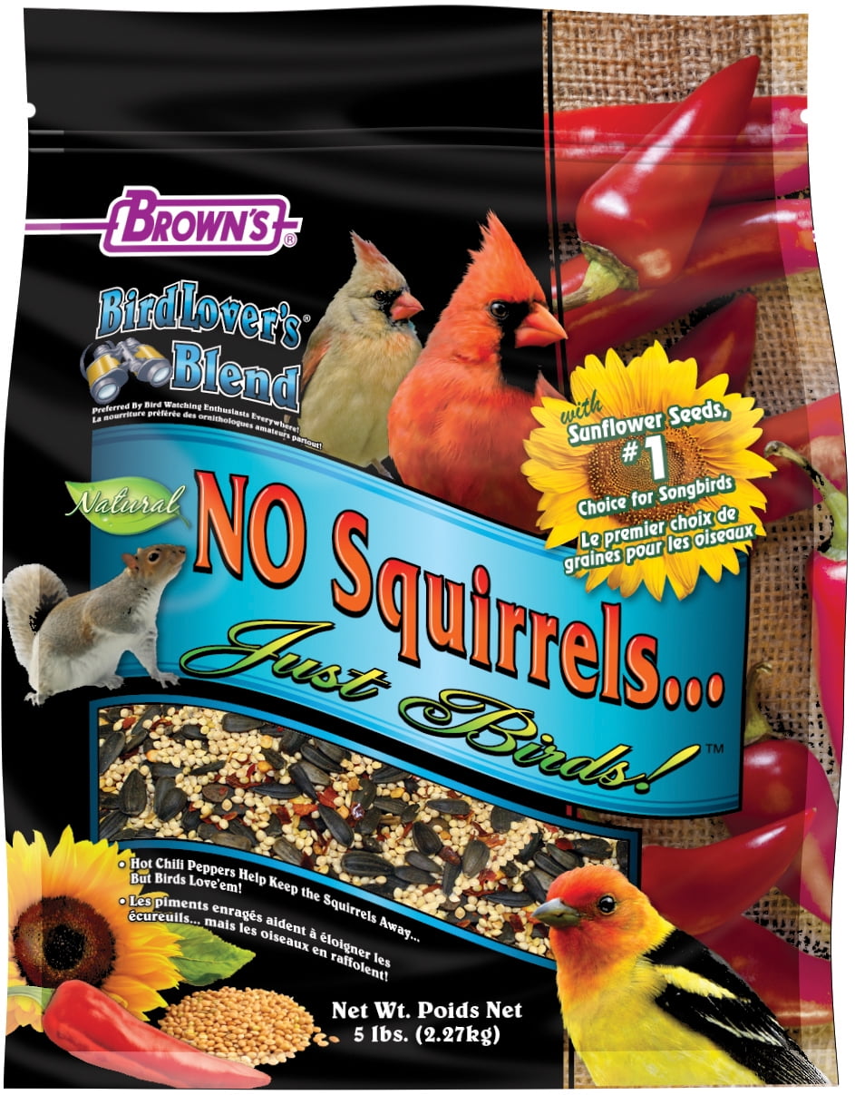 Bird Lover's Blend No Squirrels… Just Birds! With Sunflower Seeds, 5 lb.