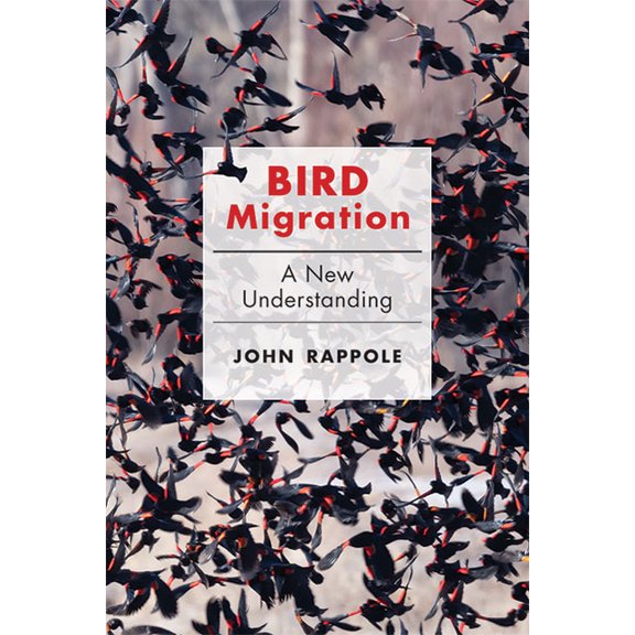 Bird Migration: A New Understanding, (Hardcover)
