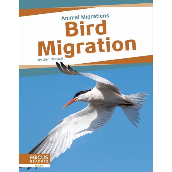 Bird Migration, (Hardcover)